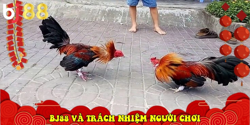 BJ88 ⭐️ Link Vào BJ88.Com Đá Gà Thomo, Casino Uy Tín 2026 14 BJ88 và trách nhiệm người chơi