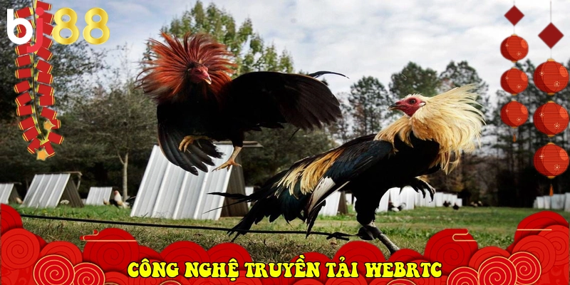 BJ88 ⭐️ Link Vào BJ88.Com Đá Gà Thomo, Casino Uy Tín 2026 5 công nghệ truyền tải WebRTC