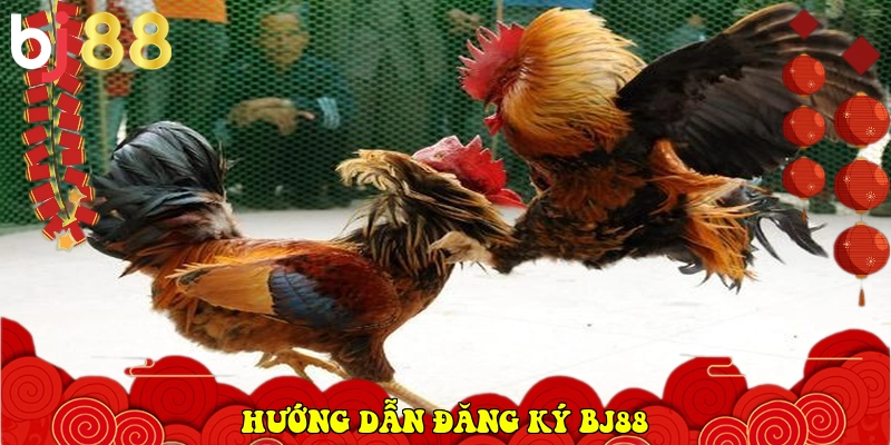 BJ88 ⭐️ Link Vào BJ88.Com Đá Gà Thomo, Casino Uy Tín 2026 12 Hướng dẫn đăng ký BJ88